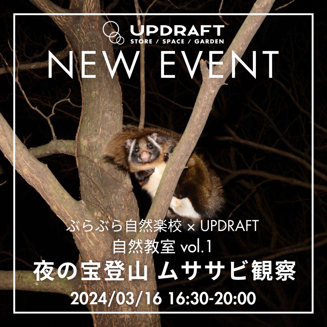 【NEW EVENT】自然教室「夜の宝登山で野生のムササビ観察」2024年3月16日開催！