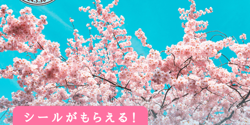 【NAGATORO SAKURA FES】お知らせ② 桜フェス参加店（シールラリー対象店舗）全33店を公開しました！