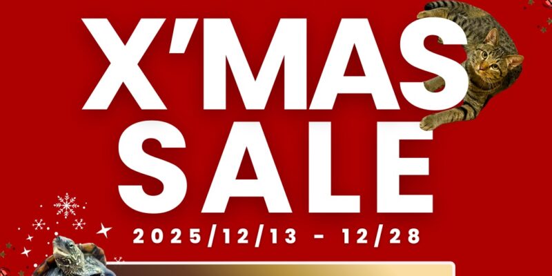 クリスマスプレゼントご購入を全力応援☆オトクなクリスマスセール開催！12/13(土)～28(日)