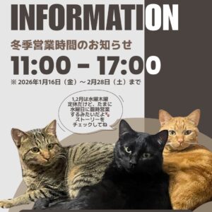 UPDRAFT 冬季営業時間のお知らせ